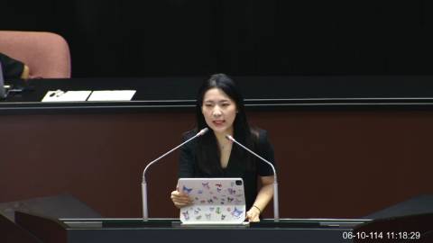 2025-06-10 09:00 第11屆 第3會期 主辦單位：院會 徐巧芯委員質詢封面