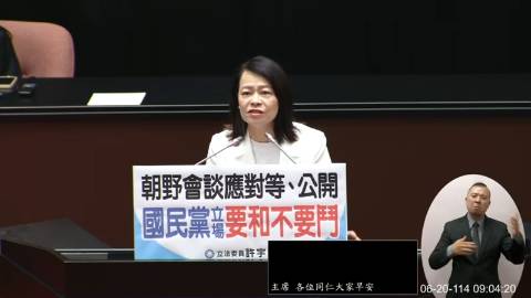 2025-06-20 09:00 第11屆 第3會期 主辦單位：院會 許宇甄委員質詢封面