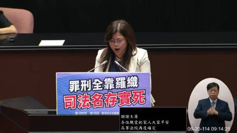 2025-06-20 09:00 第11屆 第3會期 主辦單位：院會 麥玉珍委員質詢封面