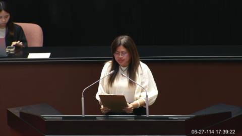 2025-06-27 09:00 第11屆 第3會期 主辦單位：院會 麥玉珍委員質詢封面