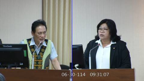 2025-06-30 09:00 第11屆 第3會期 主辦單位：內政委員會 王美惠委員質詢封面