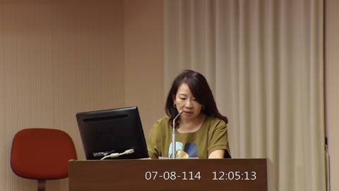 2025-07-08 12:00 第11屆 第3會期 主辦單位：程序委員會 羅美玲委員質詢封面