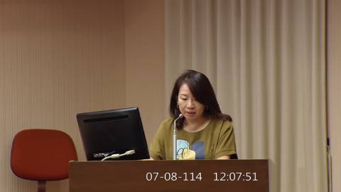 2025-07-08 12:00 第11屆 第3會期 主辦單位：程序委員會 羅美玲委員質詢封面