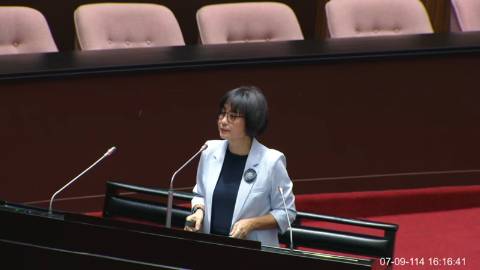 2025-07-09 09:00 第11屆 第3會期 主辦單位：全院委員會 林月琴委員質詢封面