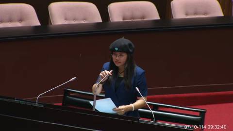2025-07-10 09:00 第11屆 第3會期 主辦單位：全院委員會 麥玉珍委員質詢封面