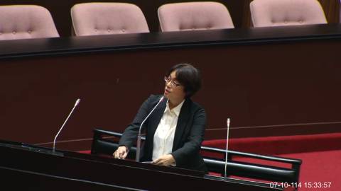 2025-07-10 09:00 第11屆 第3會期 主辦單位：全院委員會 林倩綺委員質詢封面