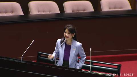 2025-07-10 09:00 第11屆 第3會期 主辦單位：全院委員會 林楚茵委員質詢封面