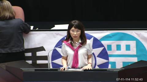 2025-07-11 09:00 第11屆 第3會期 主辦單位：院會 陳昭姿委員質詢封面