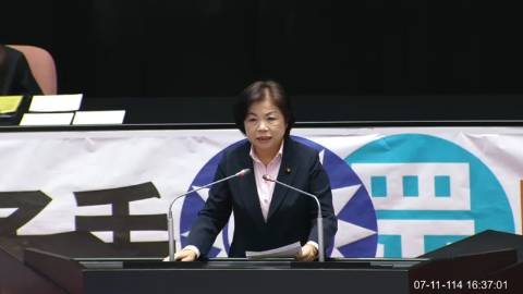 2025-07-11 09:00 第11屆 第3會期 主辦單位：院會 楊瓊瓔委員質詢封面