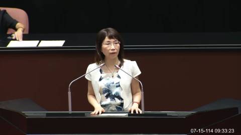 2025-07-15 09:00 第11屆 第3會期 主辦單位：院會 陳昭姿委員質詢封面