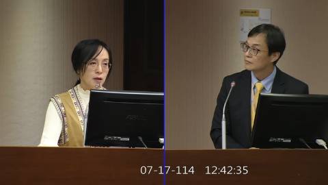 2025-07-17 09:00 第11屆 第3會期 主辦單位：社會福利及衛生環境委員會 陳瑩委員質詢封面