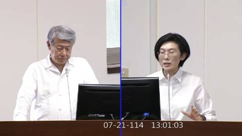 2025-07-21 09:00 第11屆 第3會期 主辦單位：經濟委員會 林岱樺委員質詢封面
