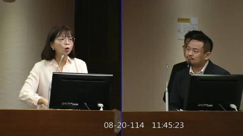 2025-08-20 09:00 第11屆 第3會期 主辦單位：社會福利及衛生環境委員會 林淑芬委員質詢封面