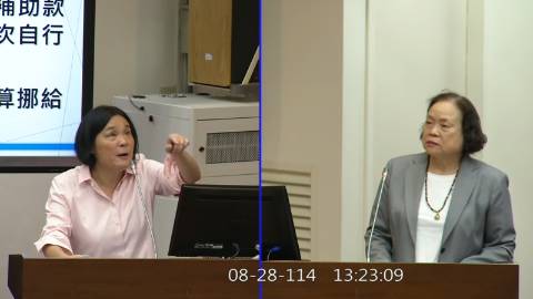 2025-08-28 09:00 第11屆 第3會期 主辦單位:財政委員會 陳玉珍委員質詢封面