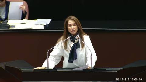 2025-10-17 09:00 第11屆 第4會期 主辦單位：院會 高金素梅委員質詢封面