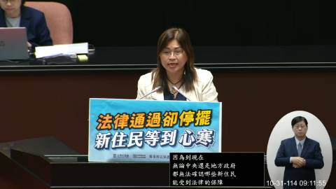 2025-10-31 09:00 第11屆 第4會期 主辦單位：院會 麥玉珍委員質詢封面