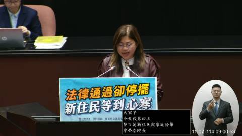 2025-11-07 09:00 第11屆 第4會期 主辦單位：院會 麥玉珍委員質詢封面