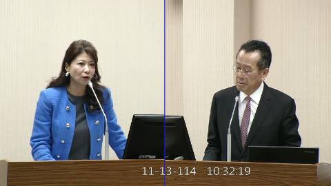 2025-11-13 09:00 第11屆 第4會期 主辦單位：外交及國防委員會 林楚茵委員質詢封面