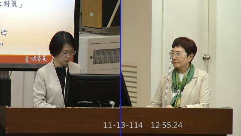 2025-11-13 09:00 第11屆 第4會期 主辦單位：財政委員會 翁曉玲委員質詢封面