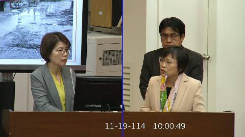 2025-11-19 09:00 第11屆 第4會期 主辦單位：財政委員會 黃秀芳委員質詢封面