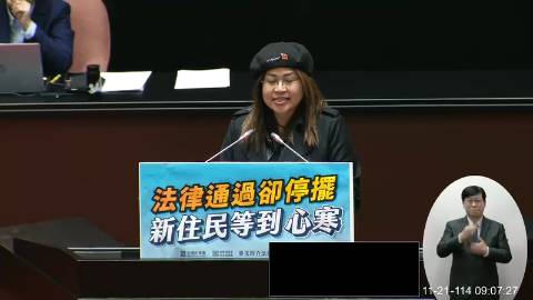 2025-11-21 09:00 第11屆 第4會期 主辦單位：院會 麥玉珍委員質詢封面