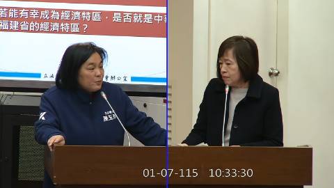 2026-01-07 09:00 第11屆 第4會期 主辦單位：財政委員會 陳玉珍委員質詢封面