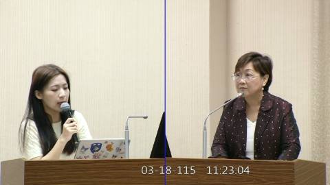 2026-03-18 09:00 第11屆 第5會期 主辦單位：外交及國防委員會 徐巧芯委員質詢封面
