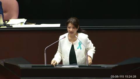 2026-05-08 09:00 第11屆 第5會期 主辦單位：院會 林楚茵委員質詢封面