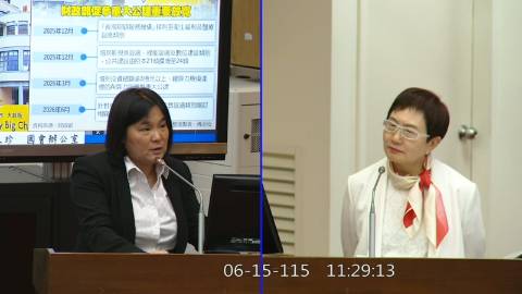 2026-06-15 09:30 第11屆 第5會期 主辦單位：財政委員會 陳玉珍委員質詢封面