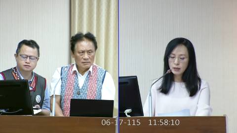 2026-06-17 09:00 第11屆 第5會期 主辦單位：內政委員會 陳瑩委員質詢封面