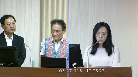 2026-06-17 09:00 第11屆 第5會期 主辦單位：內政委員會 陳瑩委員質詢封面