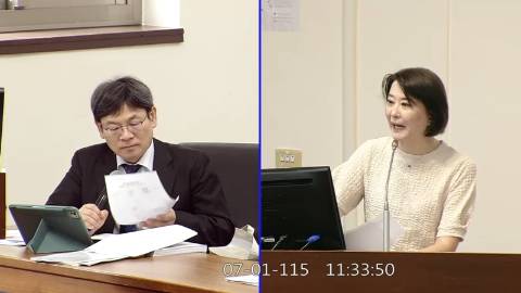 2026-07-01 09:00 第11屆 第5會期 主辦單位：經濟委員會 王鴻薇委員質詢封面