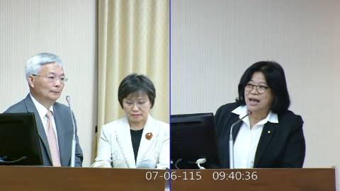 2026-07-06 08:00 第11屆 第5會期 主辦單位：內政委員會 王美惠委員質詢封面