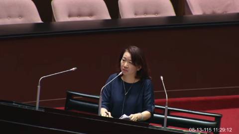 2026-08-13 09:00 第11屆 第5會期 主辦單位:全院委員會 羅美玲委員質詢封面