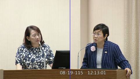 2026-08-19 09:00 第11屆 第5會期 主辦單位:外交及國防委員會 羅美玲委員質詢封面